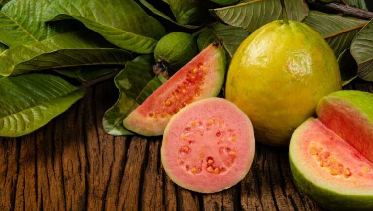 guava for your health benefit