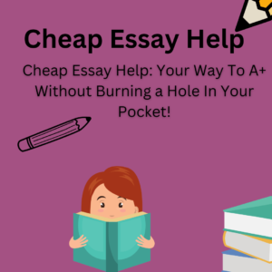 cheap essay help