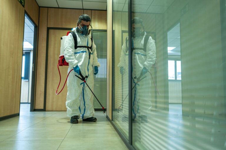Effective Pest Control Solutions for Commercial Establishments in Lahore