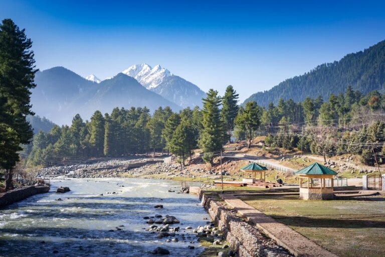From Delhi to the Himalayas: A Magical Himachal Adventure