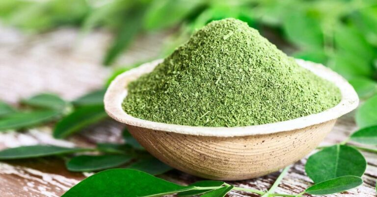 What Is Moringa Powder And What Are Its Health Benefits?