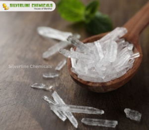Menthol Powder Manufacturers: Silverline Chemicals Leads the Way