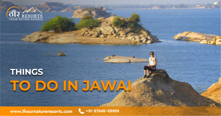 The Ultimate Guide to Things to Do in Jawai, Rajasthan