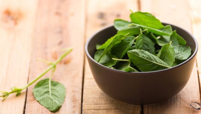 Tulsi Leaves Have Many Well Being Benefits