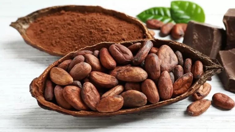 Cacao: What Is It and What Are The Benefits?