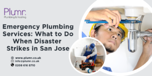 Emergency Plumbing Services in South London: When and How to Contact a Professional