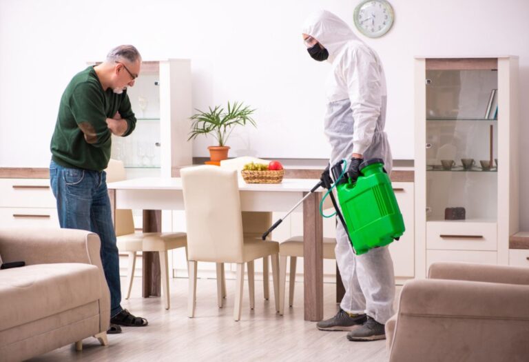 13 Reasons to Invest in Pest Control Services