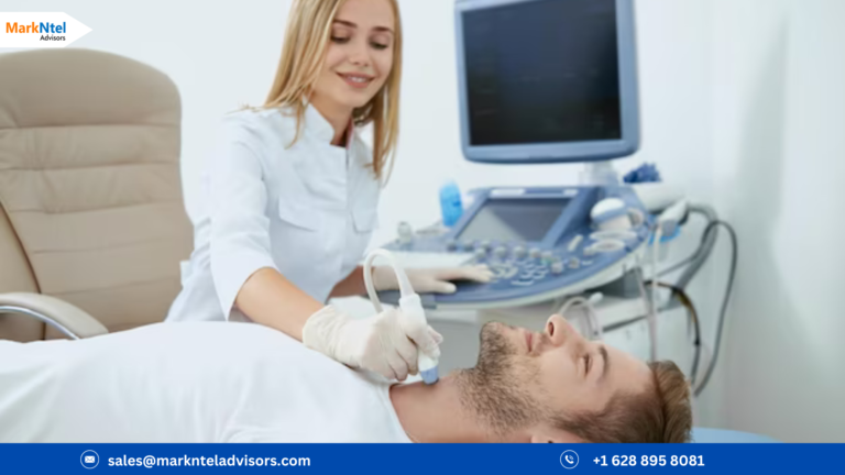 The Business of Global Therapeutic Ultrasound Market: Investment Opportunities and Challenges