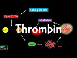 Thrombin Market