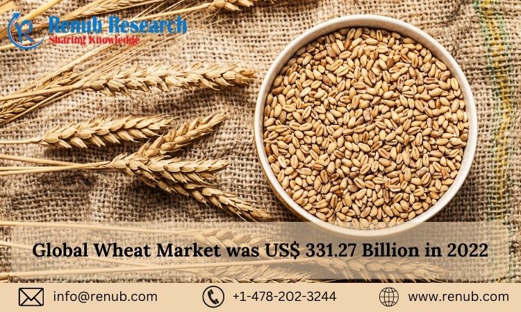 Global wheat market shall reach US$ 502.88 Billion by 2030, Size, Share, Outlook | Renub Research