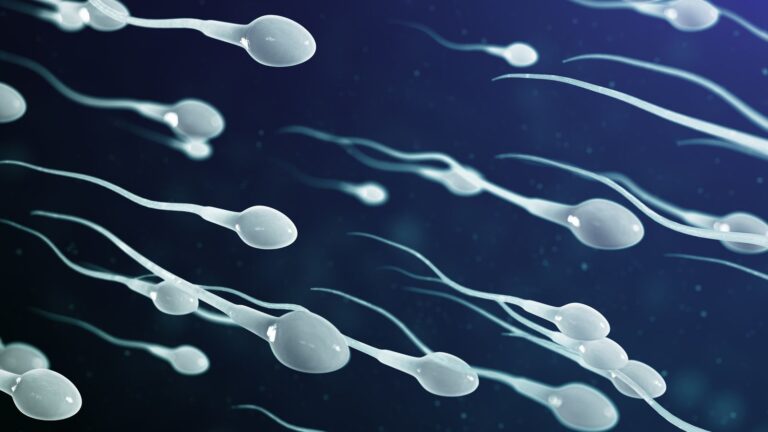 Does Erectile Dysfunction Affect Sperm Count?