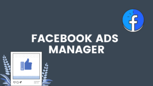 facebook ads management